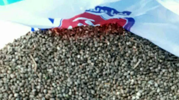 کشف 5 کیلو بذر ماده مخدر گل از سپر کامیون توسط ماموران گمرک + عکس 