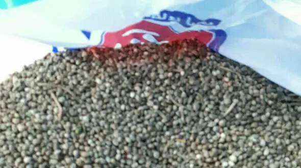 کشف 5 کیلو بذر ماده مخدر گل از سپر کامیون توسط ماموران گمرک + عکس 