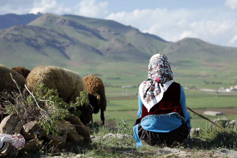 دشت می خواند