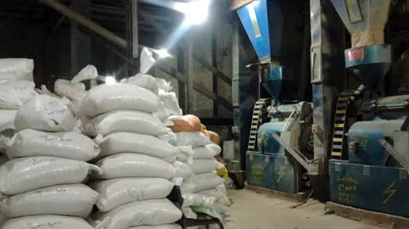  برنج ها را از کارخانه های برنجکوبی می دزدند