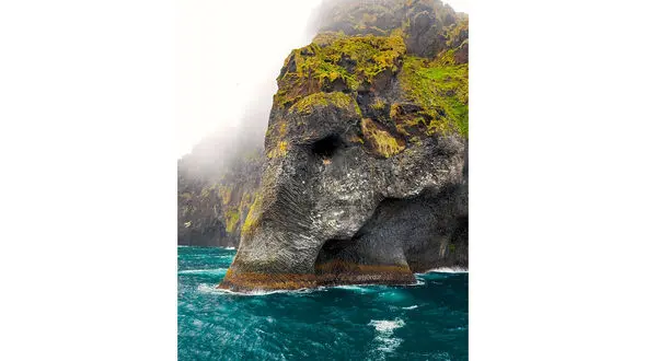 این فیل صخره است! + عکس