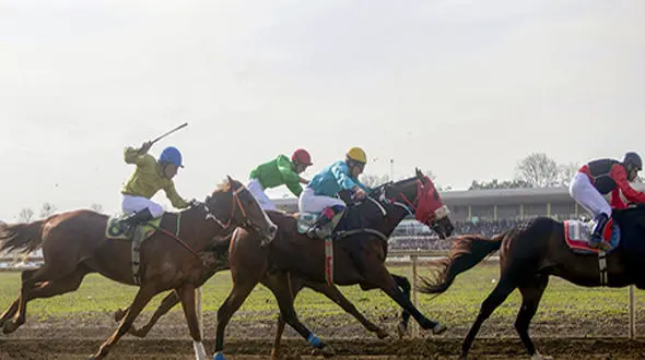 هفته چهارم کورس اسب‌دوانی آق‌قلا برگزار شد