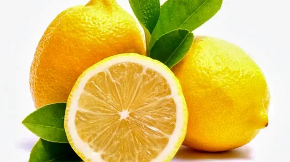 معجزه‌ های لیموترش را نادیده نگیرید