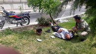 تصادف موتورسوار تهرانی با درخت/ در اتوبان امام علی رخ داد + عکس