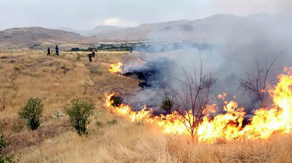 عکس از فاجعه در ایلام / مردم خودشان دست به کار شدند ! 