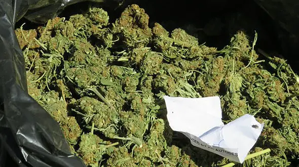 اثرات وحشتناک خوردن و کشیدن ماری جوانا روی قلب را بشناسید