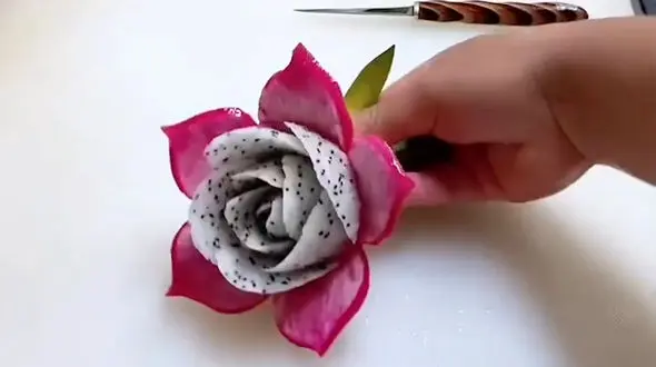 میوه اژدها را گل آرایی کنید + فیلم