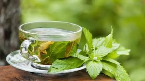 درمان فوری افسردگی با یک گیاه