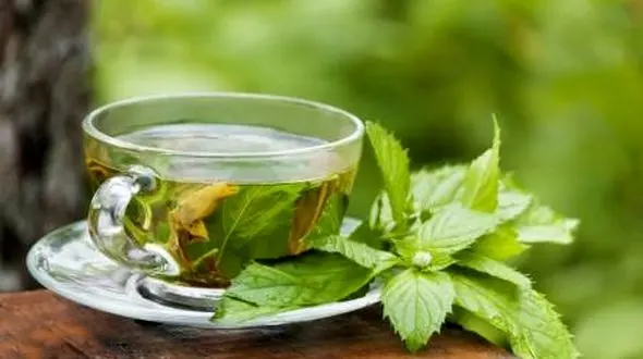 درمان فوری افسردگی با یک گیاه