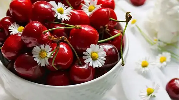 فال روزانه شخصی/ 22 تیر ماه