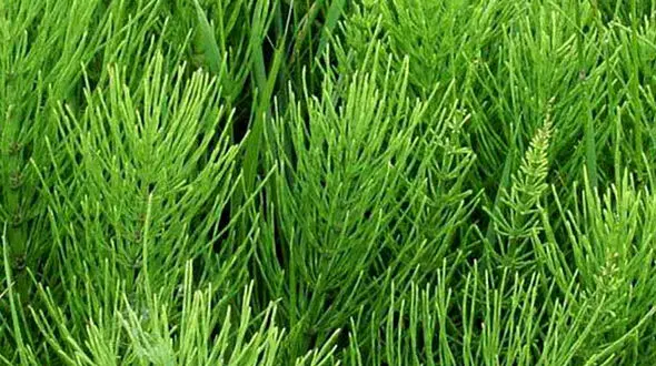 بهترین درمان قطعی آکنه 