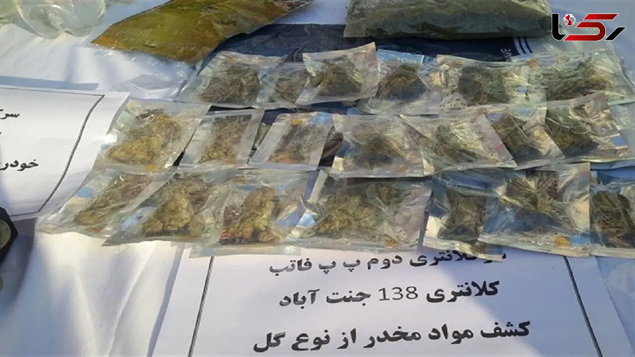 کوچ مواد فروشان از پارک ها به فضای مجازی/ فروش مواد مخدر از حشیش تا ماری جوانا در اینستاگرام+ فیلم
