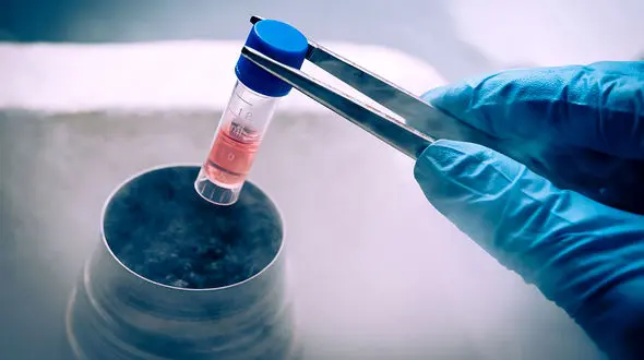 ماجرای گم شدن جنین های فریزشده در یک بیمارستان چیست؟