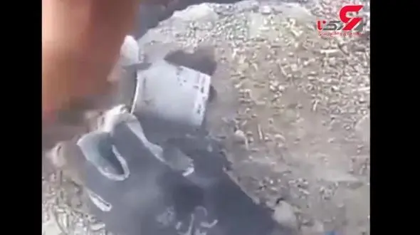 عملیات نجات برای حفظ حیات یک گربه +فیلم 