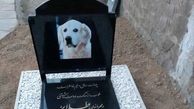 عجیب ترین سنگ قبر یک سگ در ایران+عکس