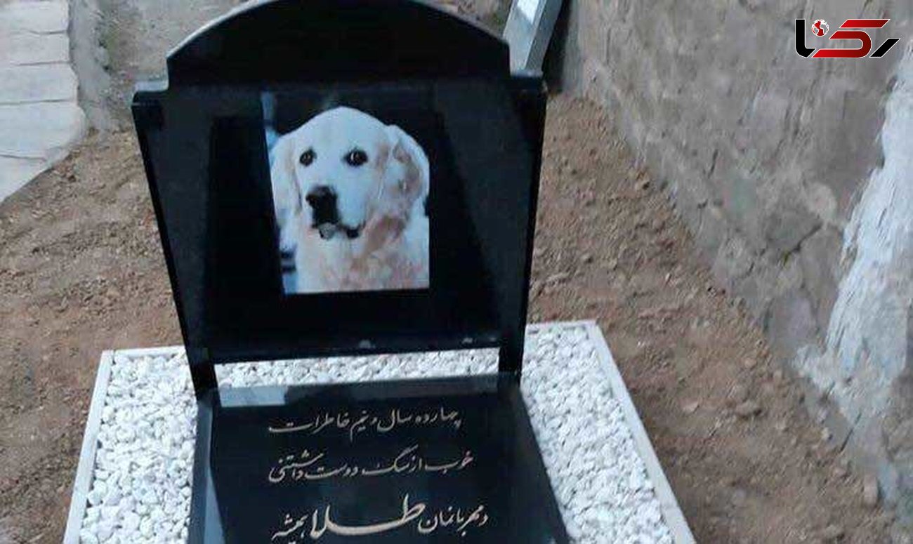 عجیب ترین سنگ قبر یک سگ در ایران+عکس