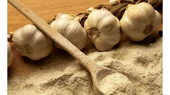 درمان ریزش مو با مصرف سیر