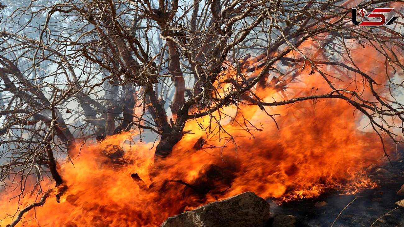 تلاش خوزستان و کهگیلویه برای مهار آتش در کوه‌های حاتم