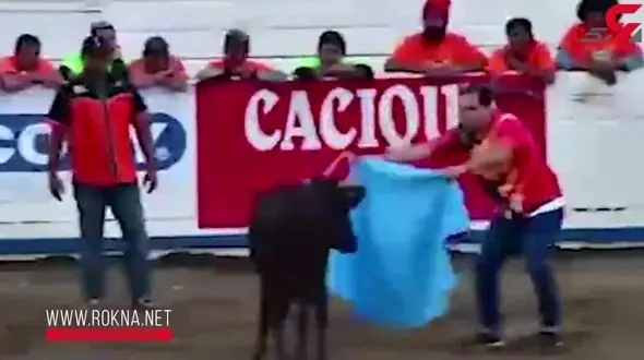 گاوبازی آخر سال در کاستاریکا به روشی جدید+ فیلم