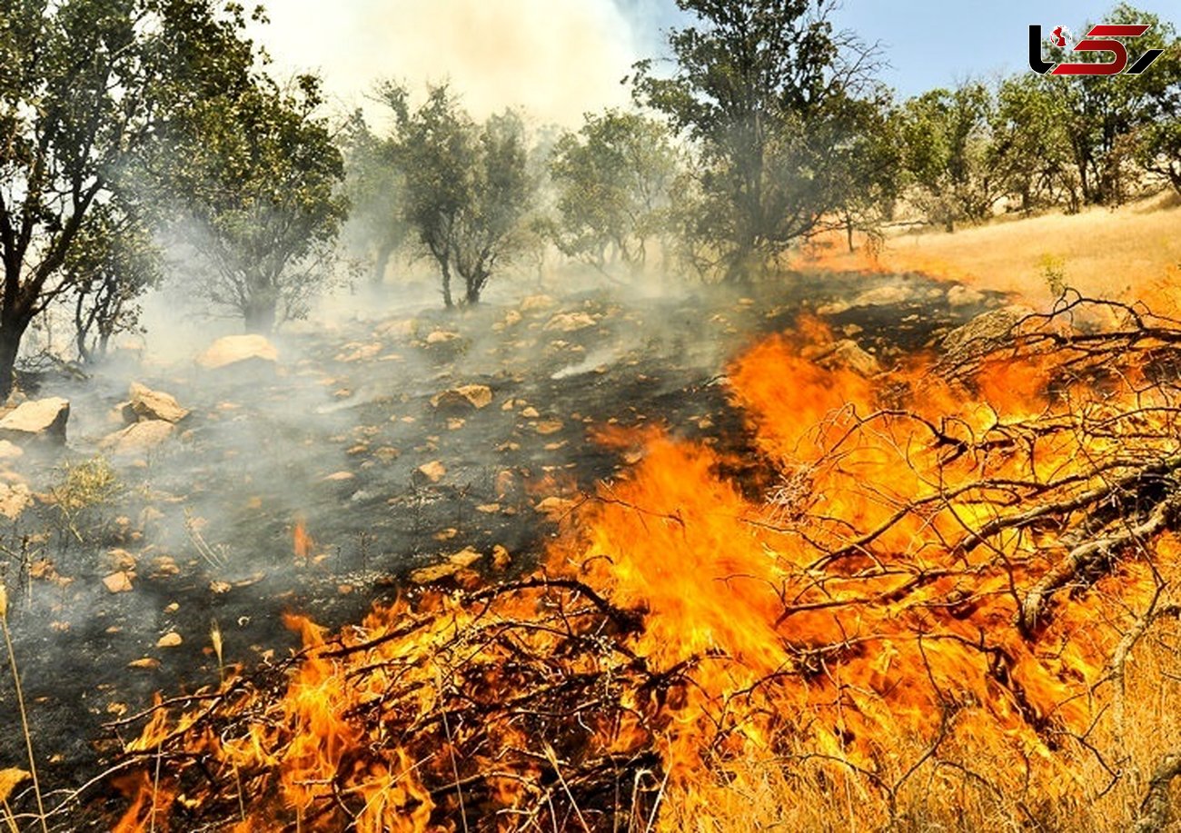 محاصره جنگل‌های بلوط باغملک در آتش