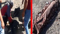 مرگ تلخ 2 جوان در حوضچه‌ های تیغاب پاکدشت + فیلم 
