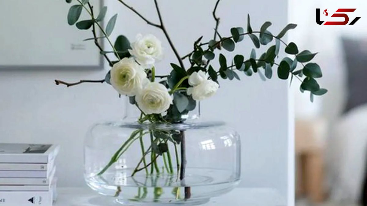 شیک ترین مدل های گلدان شیشه ای ترند برای دکوراسیون لوکس