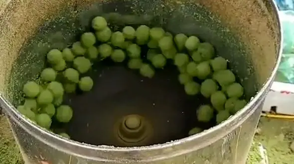 پوست گردو چطور کنده می شود؟ + فیلم 