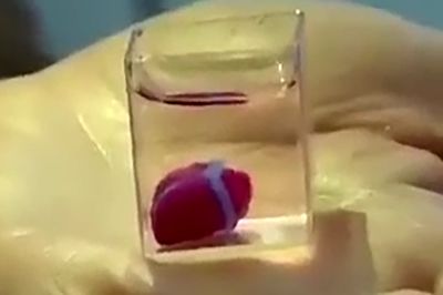 ساخت اولین قلب پرینت سه بعدی با بکارگیری بافت سلولی خود بیمار / فیلم