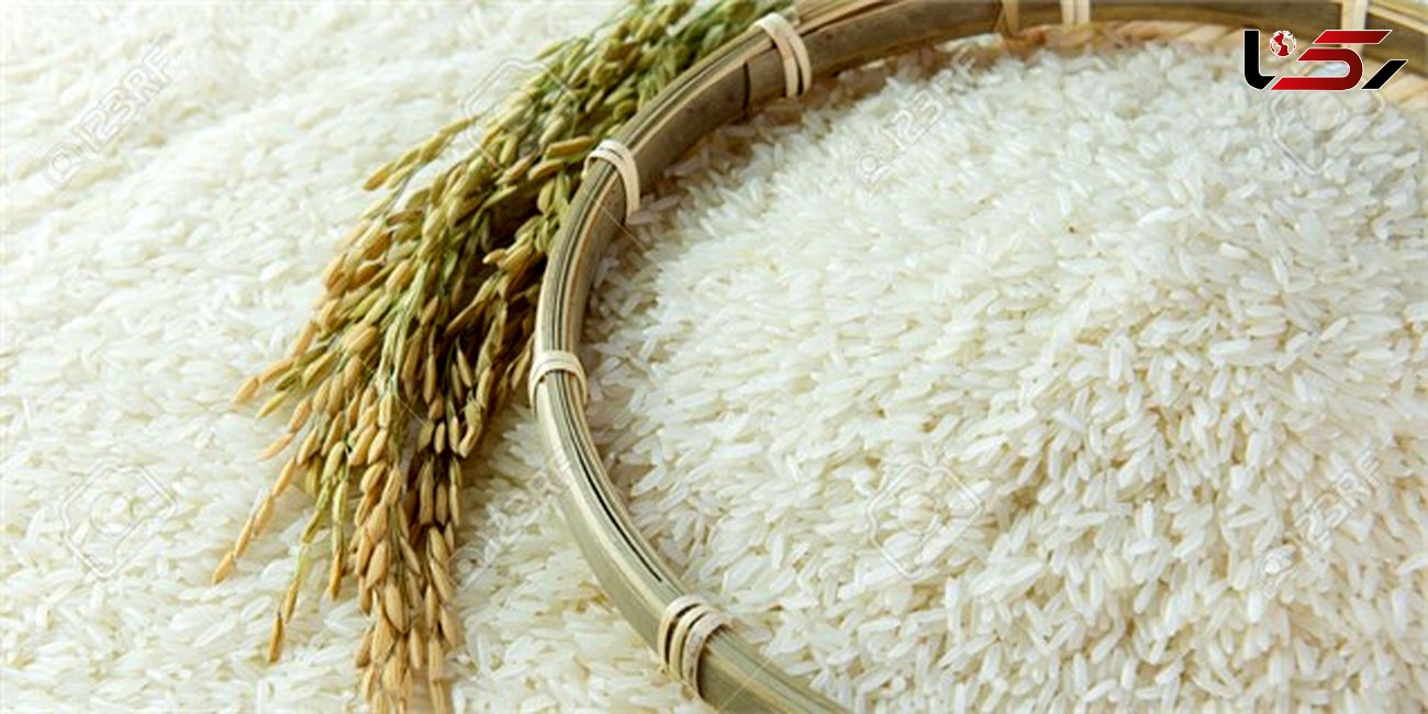 لزوم افزایش تولید ۲۵ درصدی برنج برای امنیت غذایی تا سال ۲۰۳۵