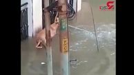 حمله کروکودیل به سگ در خیابان‌های هند! +فیلم 