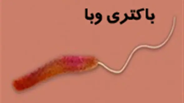 علائم وبا