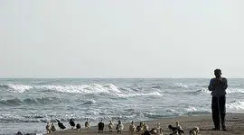 هواشناسی: دریای خزر در دو روز آینده مواج است