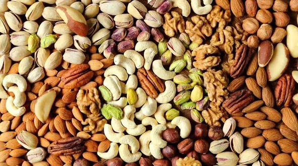 مغزهای خوشمزه ای که لاغرتان می کند!