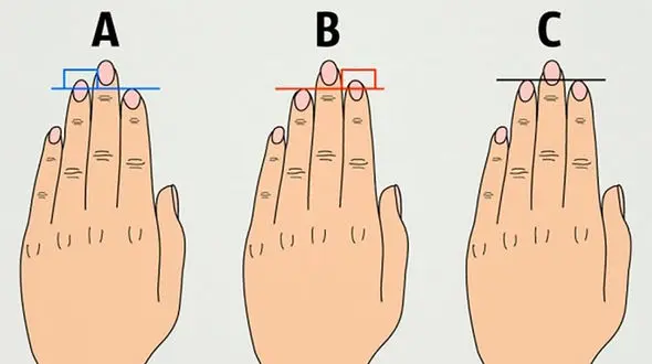  انگشتان شما با کدام تصویر مشابهت دارد ! / عاشق یا جذابید ! + عکس