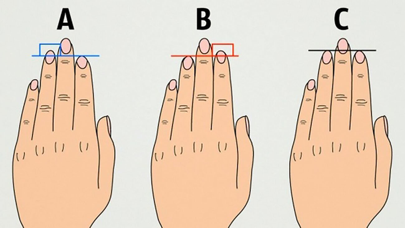  انگشتان شما با کدام تصویر مشابهت دارد ! / عاشق یا جذابید ! + عکس
