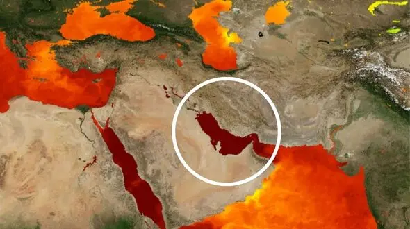 خلیج فارس در حال جان دادن است / ۲۰ درصد گونه‌ها تا پایان قرن نابود می‌شوند/ فاجعه‌ای که از نفت، پلاستیک و بی‌تدبیری تغذیه می‌کند