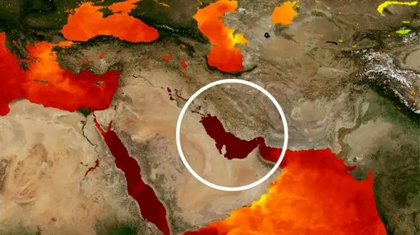 خلیج فارس در حال جان دادن است / ۲۰ درصد گونه‌ها تا پایان قرن نابود می‌شوند/ فاجعه‌ای که از نفت، پلاستیک و بی‌تدبیری تغذیه می‌کند