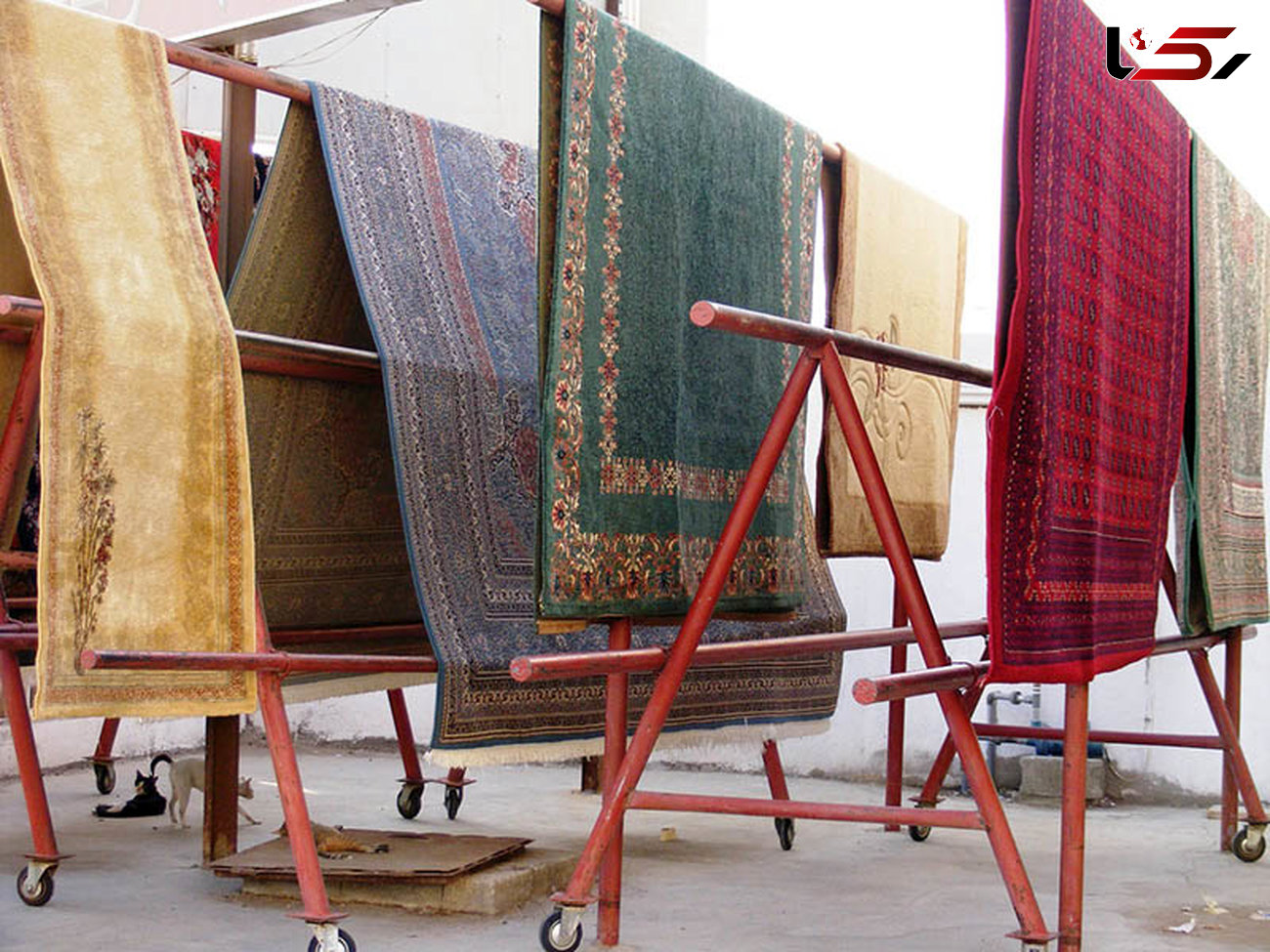 خشک کردن قالی و قالیچه به روش سنتی