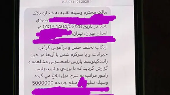 ارسال پیامک جریمه سگ گردانی / رئیس امور اطلاع رسانی دولت: این پیامک ها از امروز کاملا متوقف خواهند شد