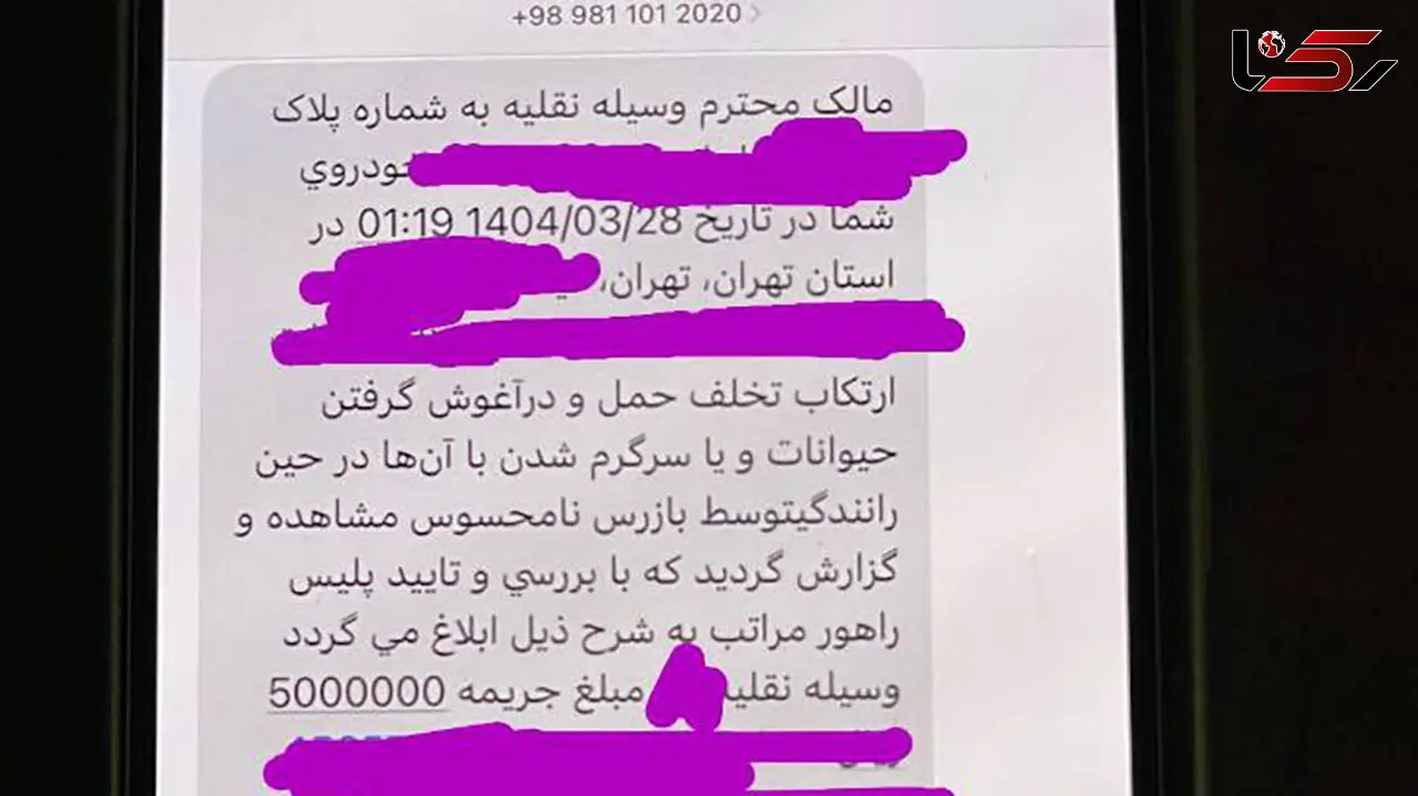 ارسال پیامک جریمه سگ گردانی / رئیس امور اطلاع رسانی دولت: این پیامک ها از امروز کاملا متوقف خواهند شد