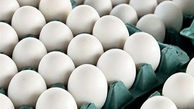 صادرات تخم مرغ در کشور متوقف شد