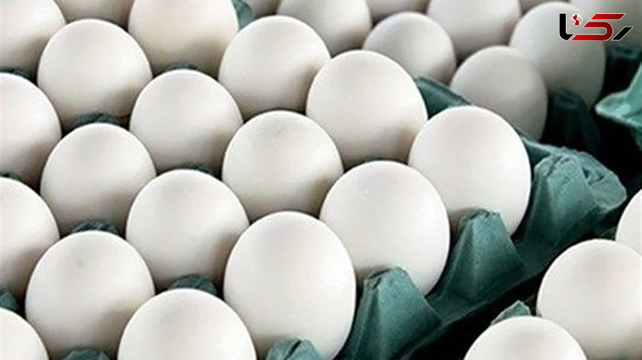 ارزان شدن تخم مرغ امروز 26 اردیبهشت ماه!