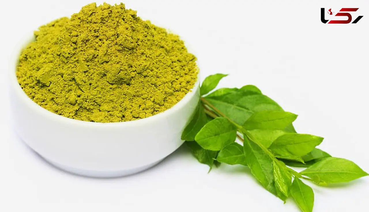 کاربردهای عجیب و غریب حنا؛ از رنگ کردن مو تا پایین آوردن تب 