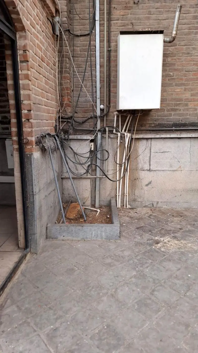 قطع درختان در موزه آبگینه (5)