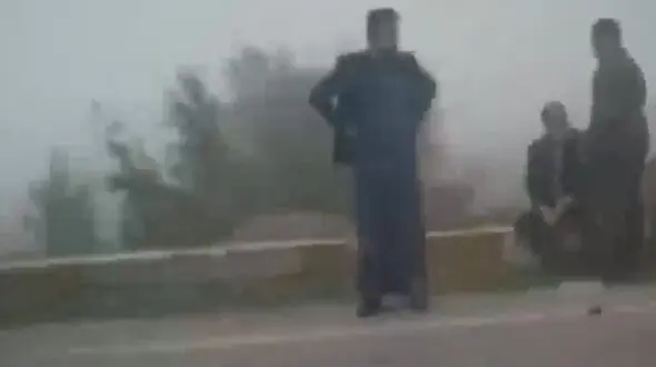 فیلم وحشتناک از تصادف در جاده اهواز / گوسفندان مقصر بودند 