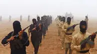 هشدار محافل عراقی درباره انتقال عناصر داعشی از سوریه به عراق
