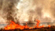 وقوع آتش سوزی در اراضی منابع طبیعی شمال شرق تهران + فیلم