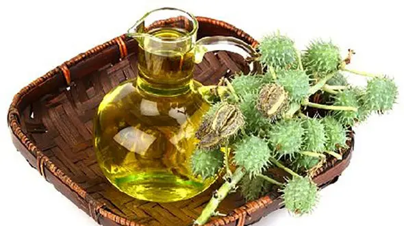 خواص روغن کرچک برای پوست 