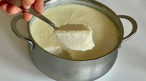 چگونه ماست خانگی درست کنیم؟ فوت‌ و فن‌ ها