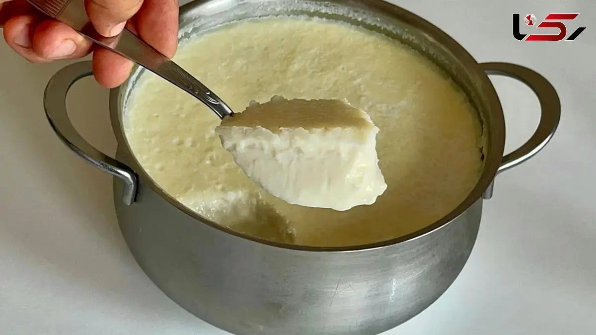 چگونه ماست خانگی درست کنیم؟ فوت‌ و فن‌ ها